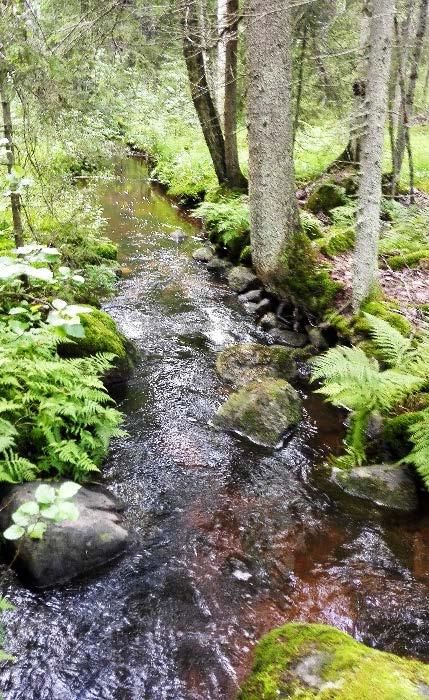 Jäteveden käsittelyn taso ympäristönsuojelullisesti herkillä