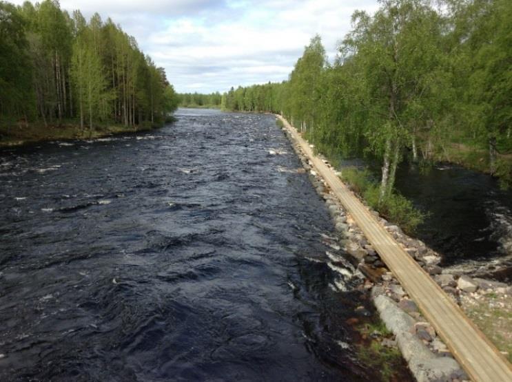 Kuhmo, Lentuankoski, ei rekisterissä Oulu, Tervaveneitten