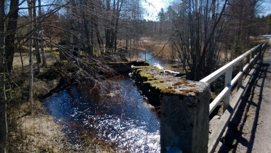 Koskiympäristöt: kanavat ja