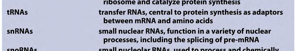 Biology of the Cell ( Garland Science