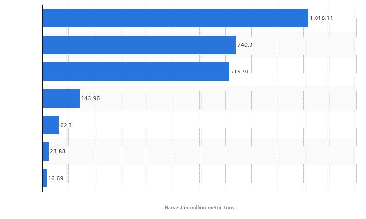World cereal grain harvests (in million metric tons) 2471 Rice (paddy) Wheat Maize Oats are a minor cereal! Oats make less than 1% of the total cereal harvest.