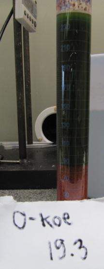 35 a) b) Kuva 20 a) 19.3.2012 0koe (N200, 8 ppm), b) 19.