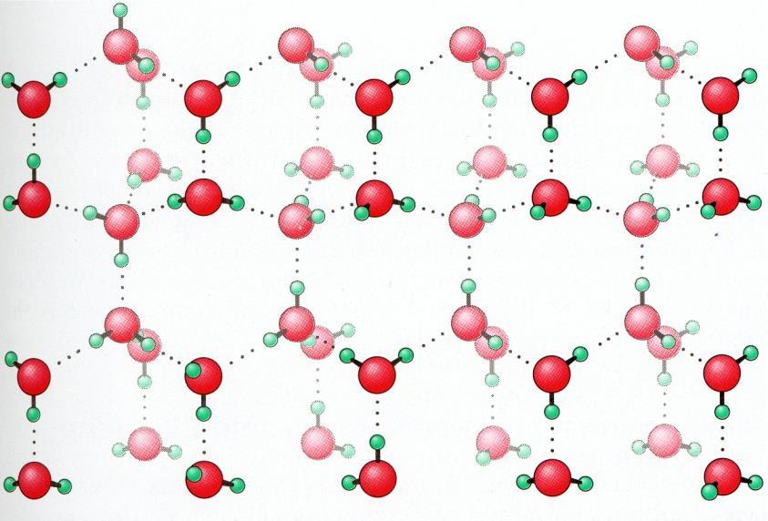 Vesimolekyylien väliset voimat huomattavia Jää: säännöllinen kiderakenne 4 vetysidosta/molekyyli Vesi: osittain