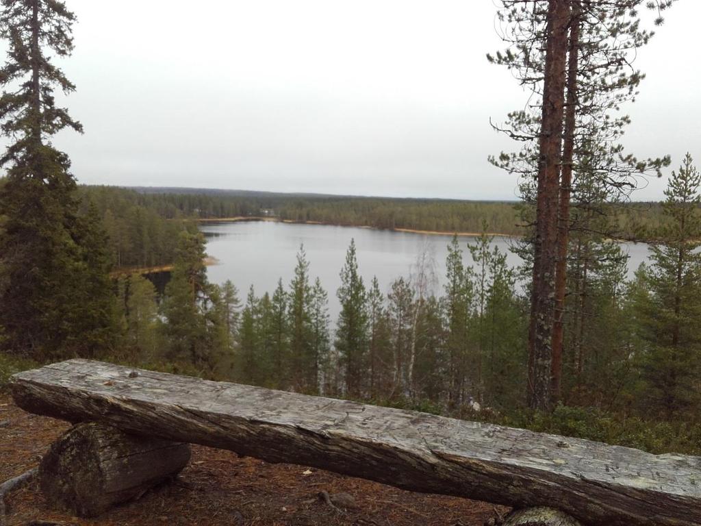 Kylmäluoman retkeilyalueen hoito- ja käyttösuunnitelma
