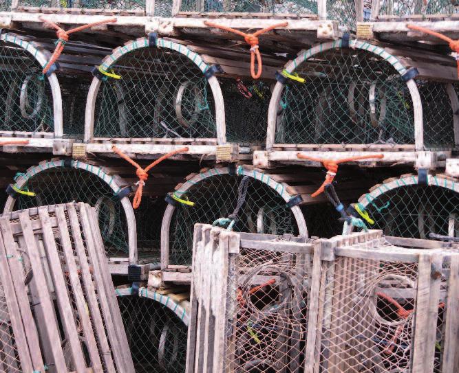 vioissa ja virheellisestä tiedosta johtuvaa liikakalastuksen riskiä.
