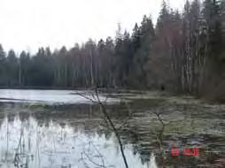 Järvien luokittelu
