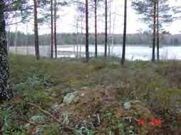 Stora dammen (Sipoo) Kuva 29.