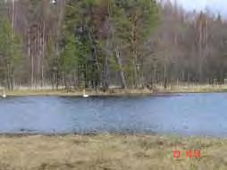 Järvien luokittelu virkistyskäyttöarvojen perusteella - 30 - Rehevät lintujärvet 2.