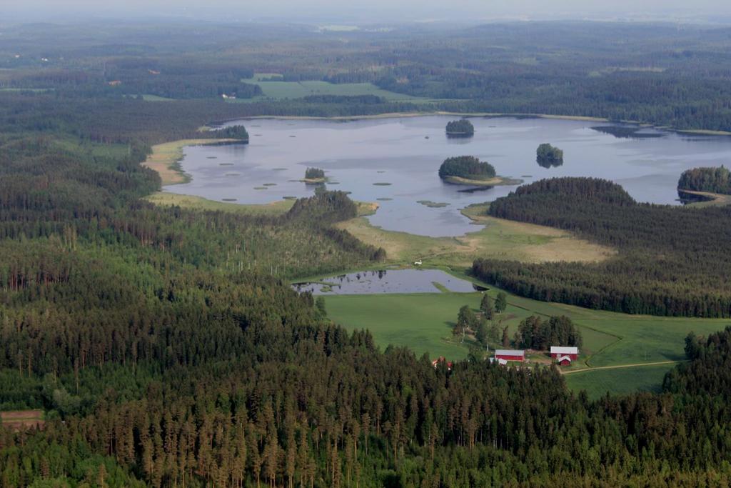 Maisematason luonnonhoito näkyy vahvoina riista-, kala- ja rapukantoina harrastusmahdollisuudet hyvinvointi Elinympäristöjen kunnostamisesta monipuolisia EKOSYSTEEMIPALVELUJA MARJAT SIENET PUHDAS