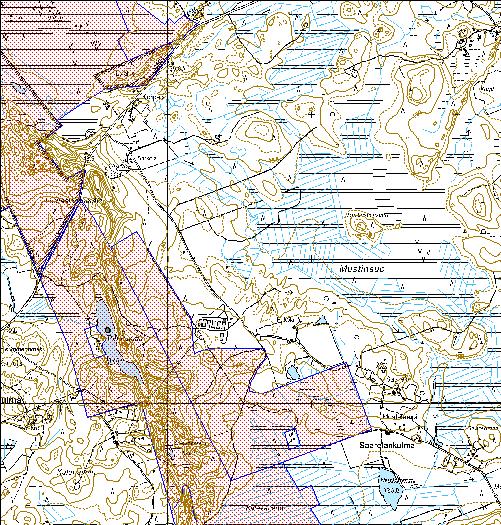 83 Kohdetyyppi: 99 Muu/määrittelemätön Copyright: Metsähallitus 2008