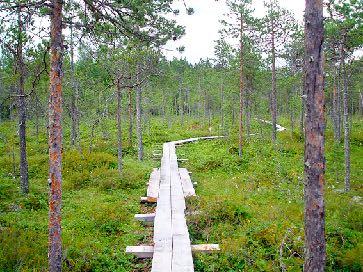 KOULUJEN ELOKUVAVIIKKO / KAUPUNKISINFONIA / SUOMI 100 Millaista liikettä kaupunkikuvasta