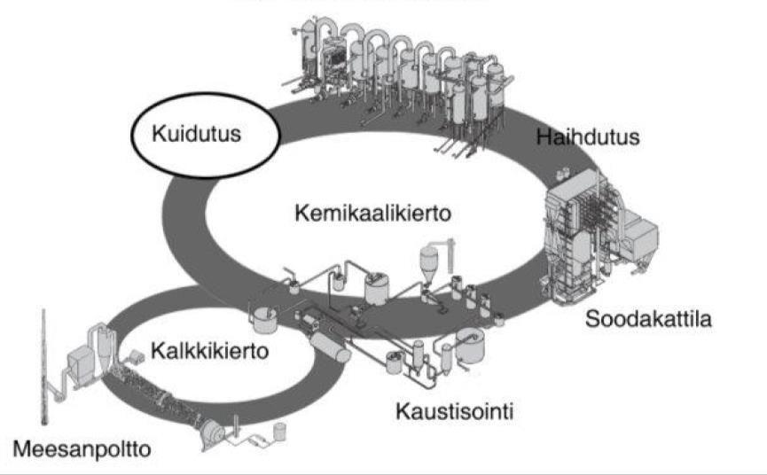 16 massa syötetään perälaatikon kautta kuivauskoneen viiraosalle. Puristinosalla vedenpoisto tapahtuu mekaanisesti puristamalla ja kuiva-ainepitoisuudeksi saadaan 45 55 prosenttia.