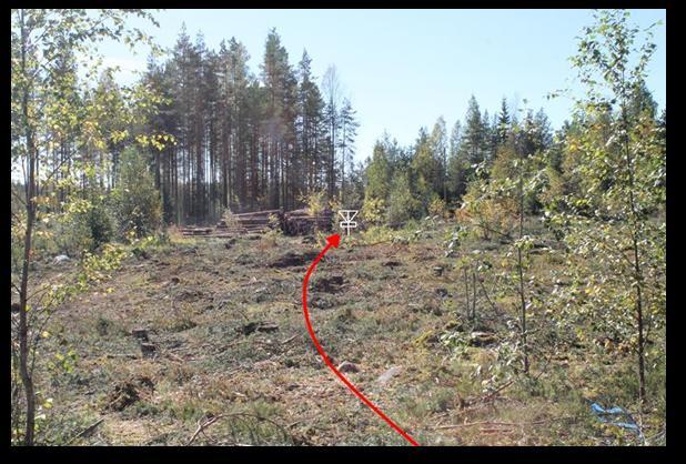 Raivaustyöt tällä väylällä on jo tehty.