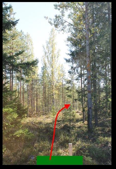 # 3 51 Par 3 101m Sijainti Heittoalusta: 62.042647, 23.039018 N 6885257, E 292917 Maalikori: 62.
