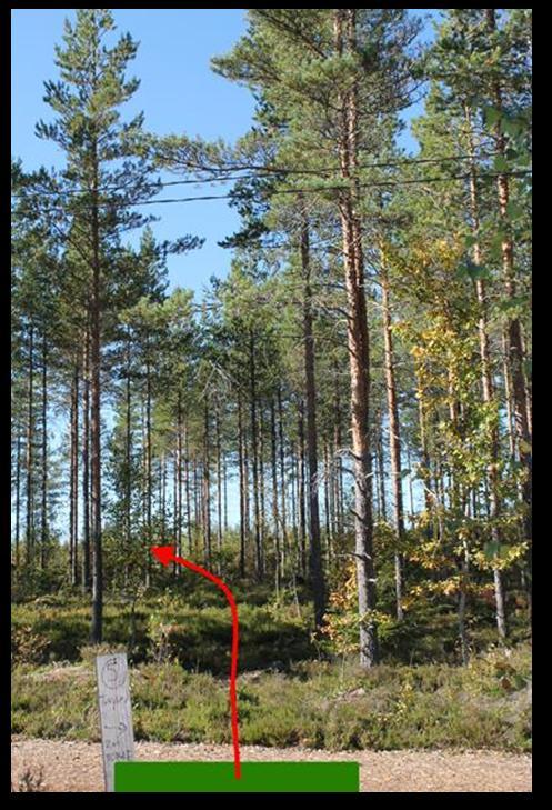 # 5 53 Par 3 90m Sijainti Heittoalusta: 62.043768, 23.040958 N 6885376, E 293026 Maalikori: 62.