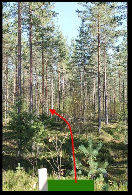 # 6 54 Par 3 105m Sijainti Heittoalusta: 62.044085, 23.039535 N 6885416, E 292954 Maalikori: 62.