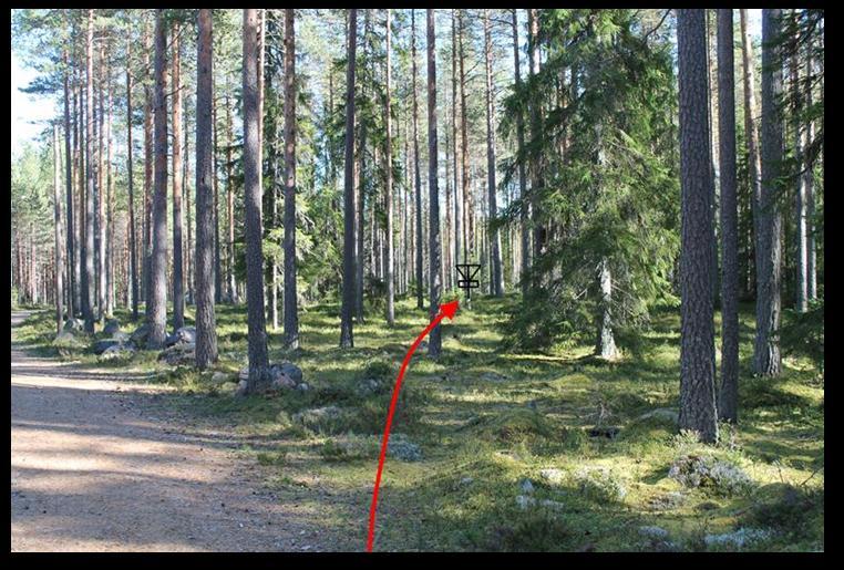 Kuntoratojen ylityksien jälkeen väylä kaartuu loivasti oikealle syvälle metsään.