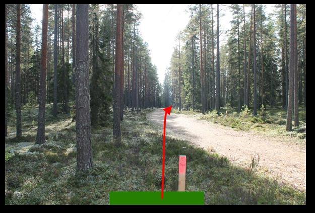 # 13 61 Par 4 175m Sijainti Heittoalusta: 62.051115, 23.04324 N 6886186, E 293195 Maalikori: 62.