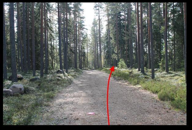 Väylän loppuosassa väylä kaartuu oikealle metsään kohti maalikoria.