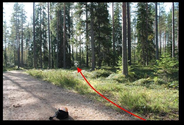Kaadettavat puut ovat merkitty maastoon merkkausnauhoilla.