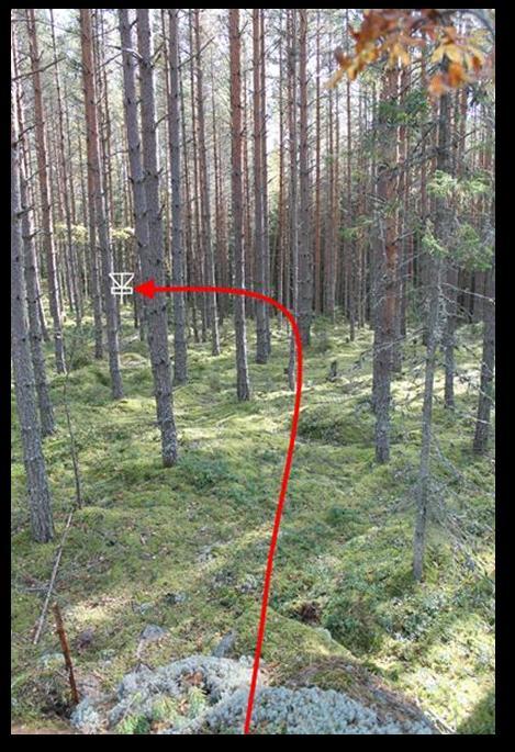 kaataa 80 100 kappaletta, jotta väylästä saadaan tarpeeksi avara.