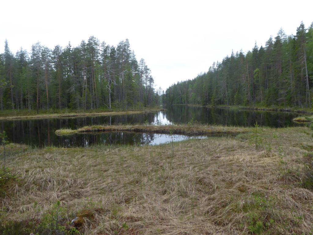 HE 220/2016 vp KANSALLISPUISTON RAJAUSPERIAATTEET Suurin osa kansallispuistorajuksen alueesta on vilkkaassa virkistys-, retkeily- ja luontomatkailukäytössä.