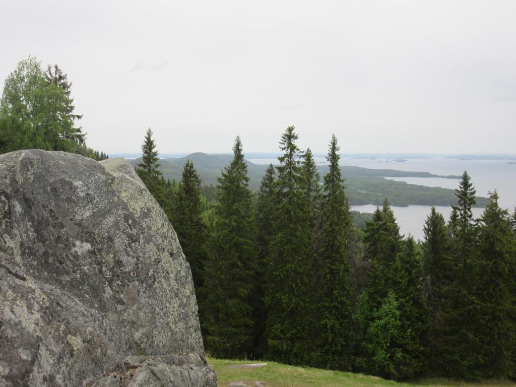 Hossa osaksi Suomen kansallispuistoverkostosta Suomessa on tällä hetkellä 39