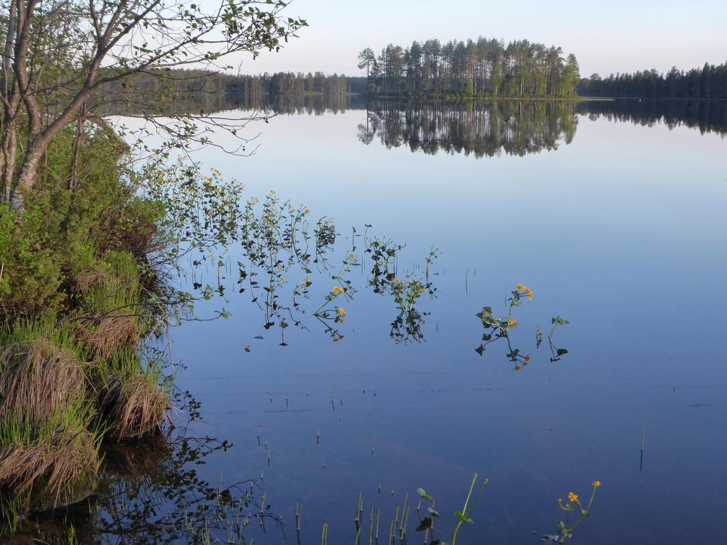 Hossa on upea ydistelmä luonnon- ja kulttuuriperintöä.