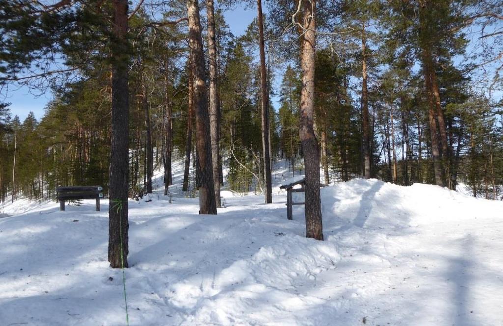 Romevaaran Natura 2000 -alue Romevaaran Natura 2000 -alue on rajattu kokonaan puiston ulkopuolelle; Hossan Natura 2000 aluetta suppeampi.