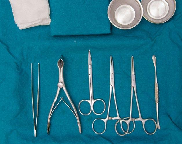 Pientoimenpidekoulutukset Pientoimenpidekoulutukset Pientoimenpiteet-koulutuskokonaisuus Koulutuskokonaisuuden avulla opiskellaan toimenpiteet ja niiden suorittaminen asiantuntijoiden neuvojen ja