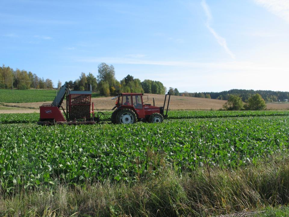 Tavoitteita -Suomalainen maatalous rakentuu kestävälle pohjalle -WWF auttaa osaltaan siinä, että maanviljelyn positiiviset vaikutukset ympäristölle