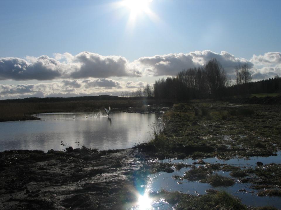 WWF Suomen kosteikkotyö -Hankkeet -Leader Lahdelta Latvoille- kosteikot Kiskonjoella ja Perniönjoella, neuvontahanke - Interreg Active wetlands,