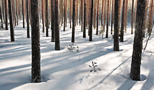 Metsä Groupin biotuotetehdas Äänekoskella Merkittävät vaikutukset