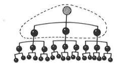 Organisaatioita :