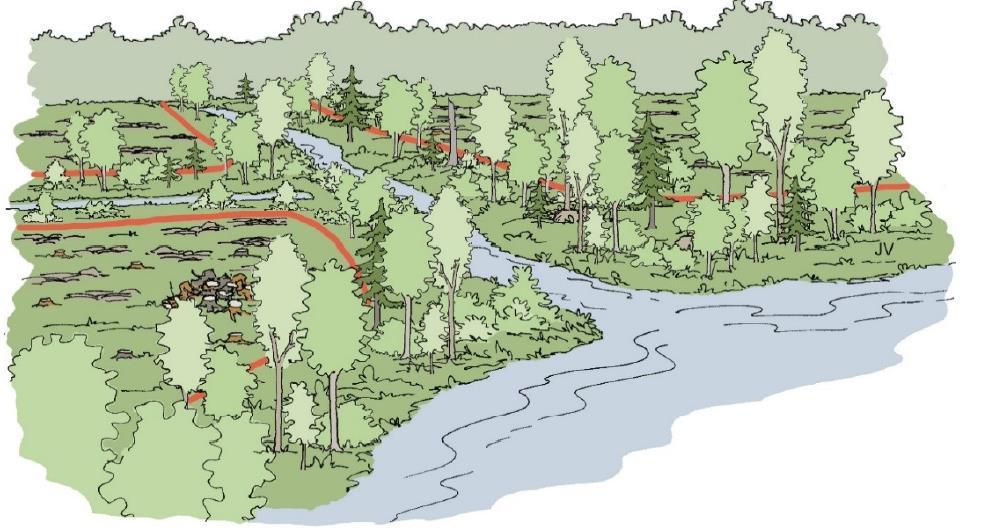 Miten biomassan kestävyyttä jo varmistetaan Suomessa 2? Ilmansuojelulainsäädäntö (Pipo, Supo jne.