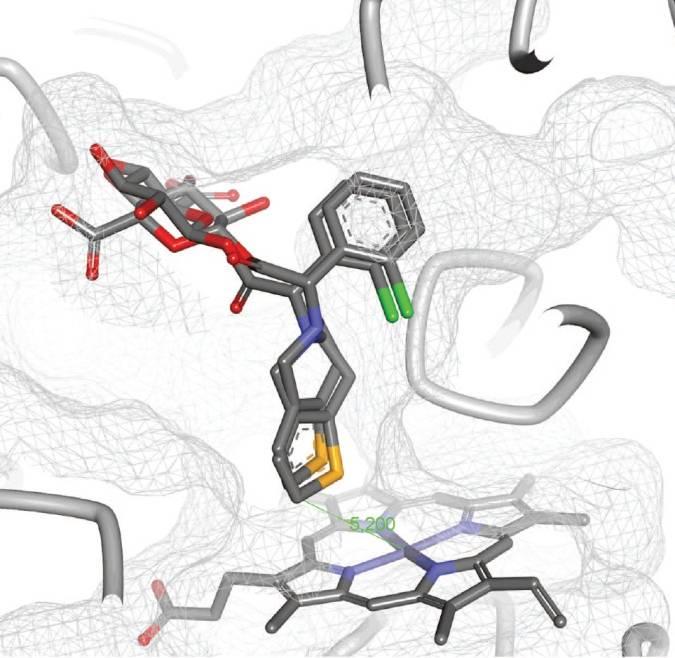 Klopidogreelin glukuronidimetaboliitti on voimakas CYP2C8-estäjä in vitro!