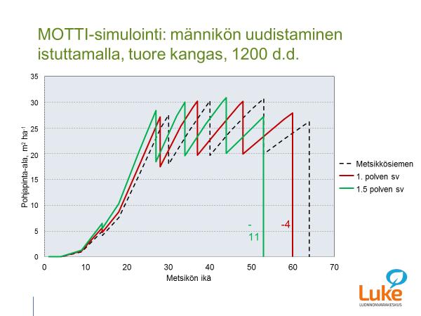 JALOSTETUN METSÄNVILJELYAINEISTON KÄYTTÖ KANNATTAA JA SE ON TURVALLISTA -Jalostettu aineisto mahdollistaa päätehakkuun jopa 10 vuotta metsikköalkuperää nopeammin!