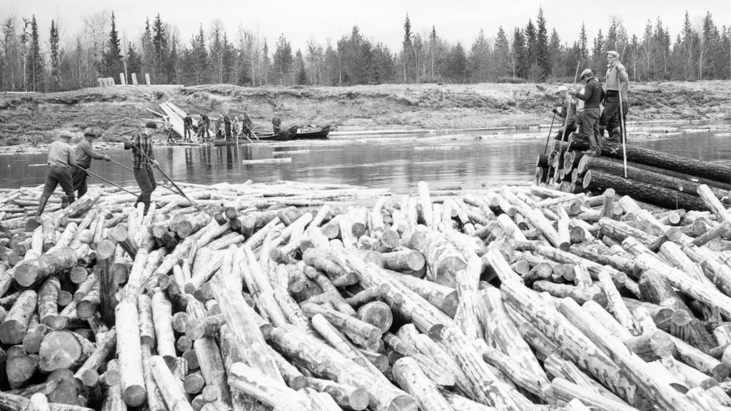 Metsäteollisuuden rooli elintärkeä 1900-luvulle tultaessa Suomi nousi Euroopan suurimmaksi sahatavaran