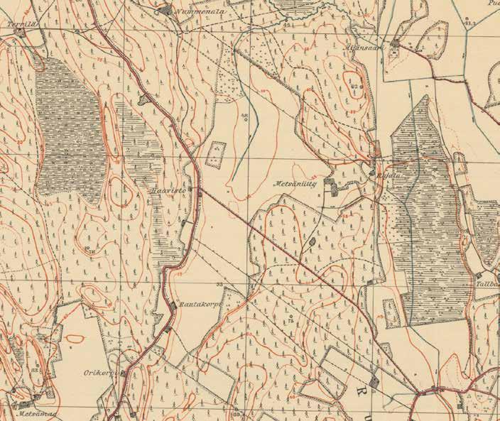 Peltoaukean laidalla on vain vanhat torpat ja laidoilla on niittyjä. 204306_1928.
