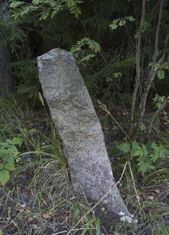 Väsyneennummen laella nuorta