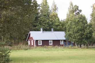sekä pihasauna 124B IMG_8421.