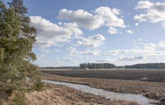 jpg 247 Vanhankylän koulutie_mykkylan_ojan_varrella oleva autio tila IMG_2731.