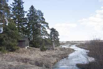 jpg 129_mykkylanaukea_linkulla_IMG_4160.