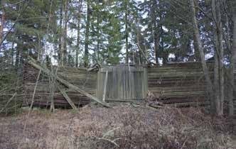 135D Lehmusvaaran pitkänurkkainen