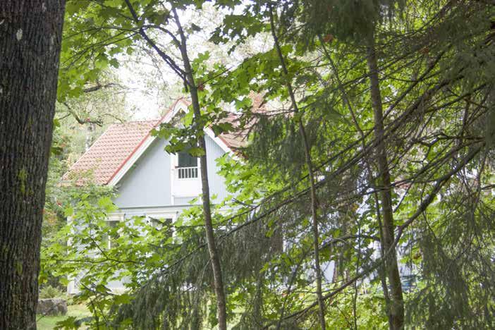 Helsinkiläinen kaupunkitalon omistaja, muurarimestari Aron Henrik Snygg osti itselleen Kylänpään tilasta vuonna 1907 erotetun Rauhalan palstan.