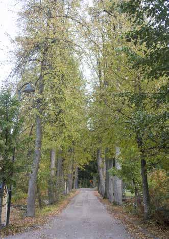 Viimeiset virkavuotensa 1898-1900 hän oli Senaatin oikeusosaston varapuheenjohtaja, käytännössä siis sen johdossa. Sederholm aateloitiin vuonna 1886, jolloin hän muutti nimensä Cederholmiksi.