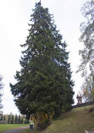 1 LUOKAN ALUE. 50_kirkkoranta_IMG_5165.