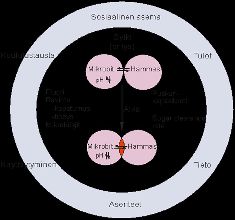 Karieksen synty ja ehkäiseviä tekijöitä Lähde: Dental Caries The Disease and