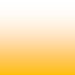 Jarosite: valorizing metals and remediating waste VTT has IP and a process concept for the recovery of silver, gold and lead from the jarosite waste (KI015165); Aalto has