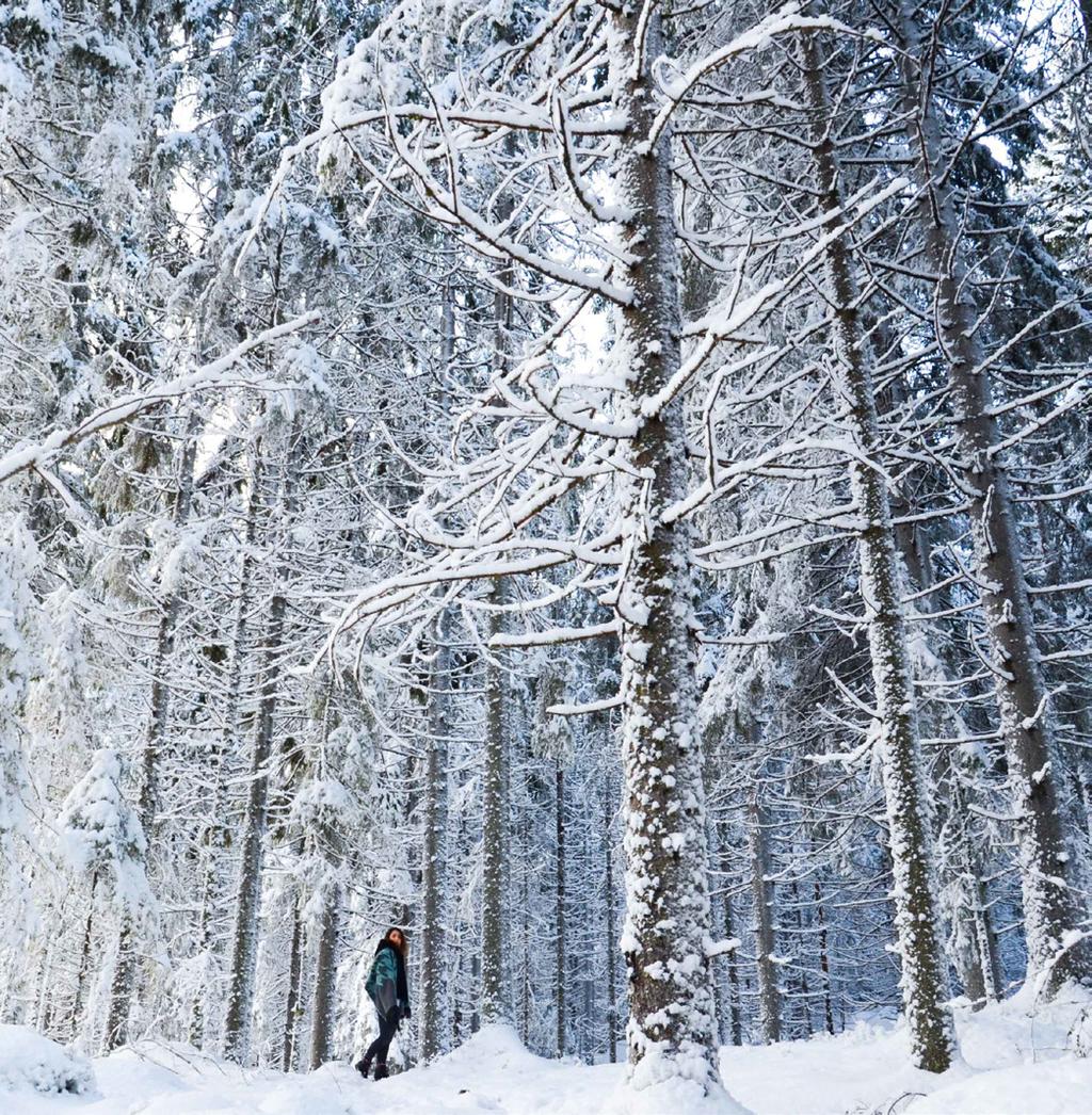2/2017 MATEMAATTIS-LUONNONTIETEELLINEN